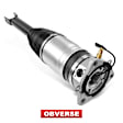 APAST060 Rear Passenger Air Suspension Strut