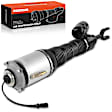APAST062 Front Driver Air Suspension Strut