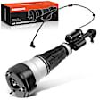 APAST071 Front Driver Air Suspension Strut