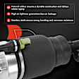 APAST074 Front Driver Air Suspension Strut