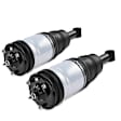 APAST141 Rear Air Suspension Strut, Set of 2