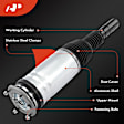 APAST160 Front Right Air Suspension Strut