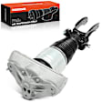 APAST242 Front Passenger Air Suspension Strut