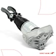 APAST242 Front Passenger Air Suspension Strut