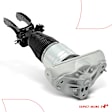 APAST243 Front Driver Air Suspension Strut