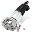 APAST268 Rear Driver Air Suspension Strut