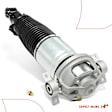 APAST268 Rear Driver Air Suspension Strut