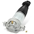 APAST269 Rear Passenger Air Suspension Strut