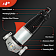 APAST269 Rear Passenger Air Suspension Strut