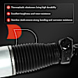 APAST269 Rear Passenger Air Suspension Strut