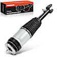 APAST270 Front Driver or Passenger Air Suspension Strut Assembly