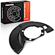 APBDS0220 Brake Dust Shield