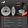 APBRPR1356 6 Pcs Front Disc Brake Rotors & Ceramic Brake Pads
