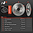 APBRR100 Rear Disc Brake Rotors