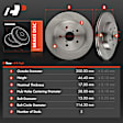 APBRR670 2 Pcs Rear Disc Brake Rotors