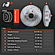 APBRS193PG Front Drilled Brake Rotors