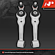 APCA0214 2x Front Lower Control Arm with Ball Joint
