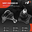 APCA0819 2x Front Lower Ball Joints