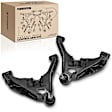 APCA3079 2x Front Lower Control Arm with Ball Joints