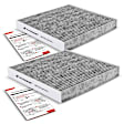 APCA4437 2x Activated Carbon Cabin Air Filters