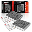 APCA4483 2x Activated Carbon Cabin Air Filter