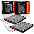 APCA4491 2x Activated Carbon Cabin Air Filter