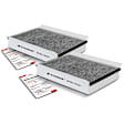 APCA4502 2x Activated Carbon Cabin Air Filter