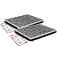 APCA4517 2x Activated Carbon Cabin Air Filter