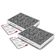 APCA4524 2x Activated Carbon Cabin Air Filter