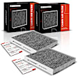 APCA4544 2x Activated Carbon Cabin Air Filter