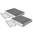 APCA4544 2x Activated Carbon Cabin Air Filter