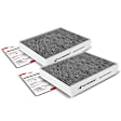 APCA4550 2x Activated Carbon Cabin Air Filter