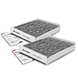 APCA4598 2x Activated Carbon Cabin Air Filter