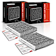 APCA4604 2x Activated Carbon Cabin Air Filters