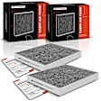 APCA4608 2x Activated Carbon Cabin Air Filters