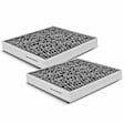 APCA4608 2x Activated Carbon Cabin Air Filters