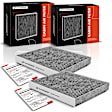 APCA4617 2x Activated Carbon Cabin Air Filters