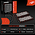 APCA4633 2x Activated Carbon Cabin Air Filter