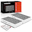 APCA4647 2x Activated Carbon Cabin Air Filter
