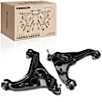 APCA5130 2 Pcs Front Lower Control Arm