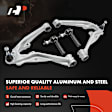 APCA5173PG 12x Control Arm with Ball Joint & Sway Bar Link