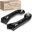 APCA5890 2 Pcs Rear Trailing Arm