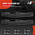 APCA5947 2 Pcs Rear Lower Rearward Control Arm