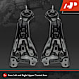 APCA5964 2 Pcs Rear Driver & Passenger Control Arm