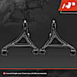 APCA6165 2 Pcs Front Lower Control Arm & Ball Joint