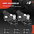 APCA6695 2 Pcs Front Lower Ball Joint
