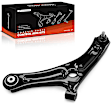 APCA7259 Control Arm and Ball Joint Assembly