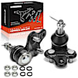 APCA7584 2 Pcs Front Lower Ball Joints