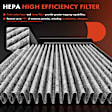 APCAF089 2 Pcs Activated Carbon Cabin Air Filter