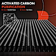 APCAF091 Activated Carbon Cabin Air Filter